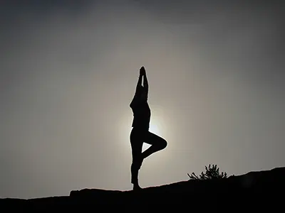 Test de Flexibilidad